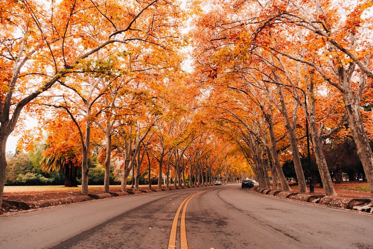 Mendoza