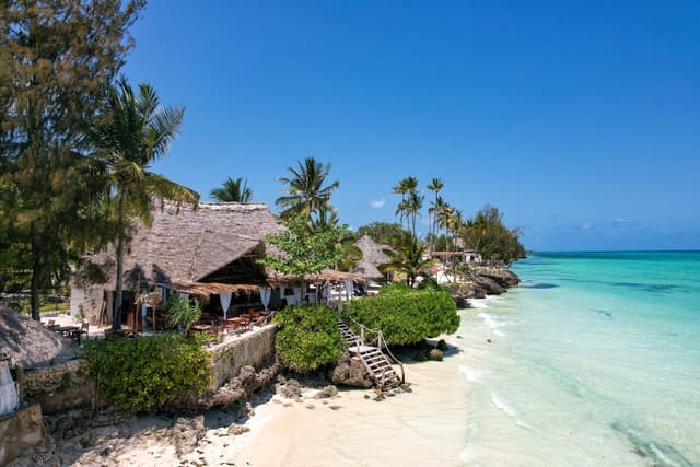 Discover Zanzibar