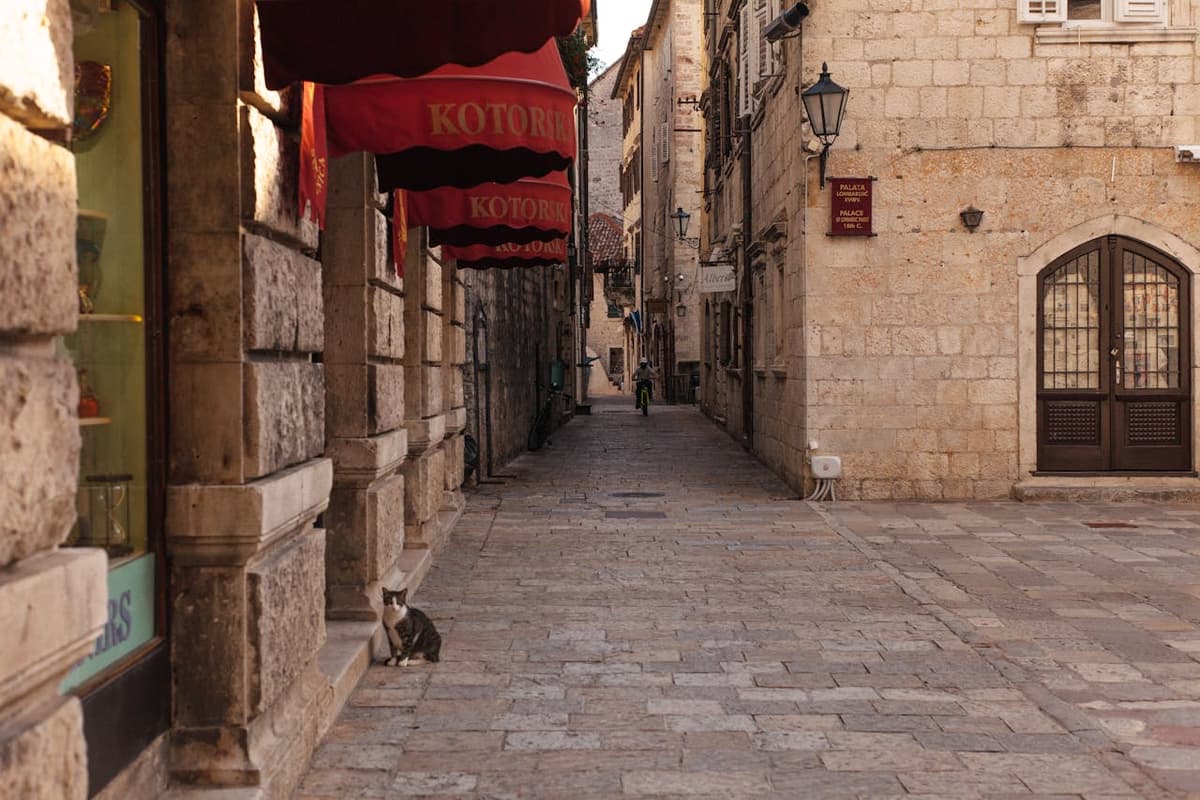 Kotor